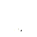 ceo